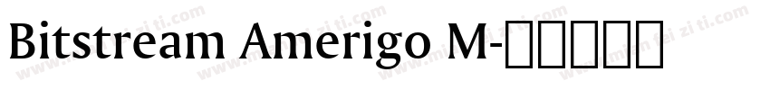 Bitstream Amerigo M字体转换